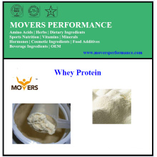 Top Quanlity Best Price Whey Protein